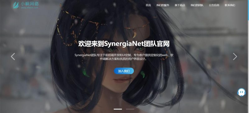 SynergiaNet团队官网系统